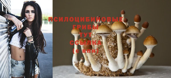 мяу мяу мука Нягань