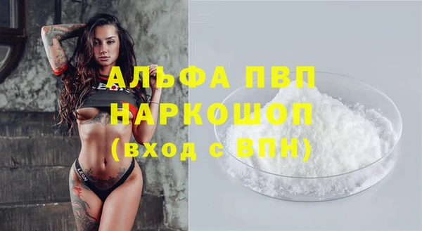 мяу мяу мука Няндома