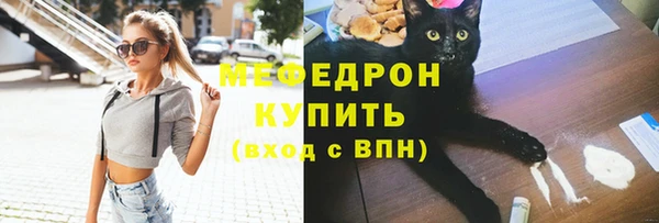 эйфоретик Бикин