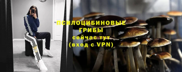 соль ск Билибино