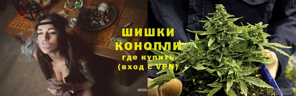 мяу мяу мука Няндома