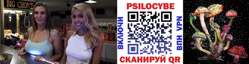 купить наркоту  Иркутск  Галлюциногенные грибы GOLDEN TEACHER 